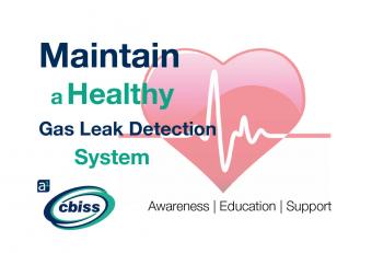 7 Factors to Help Maintain a Healthy Gas Leak Detection Programme